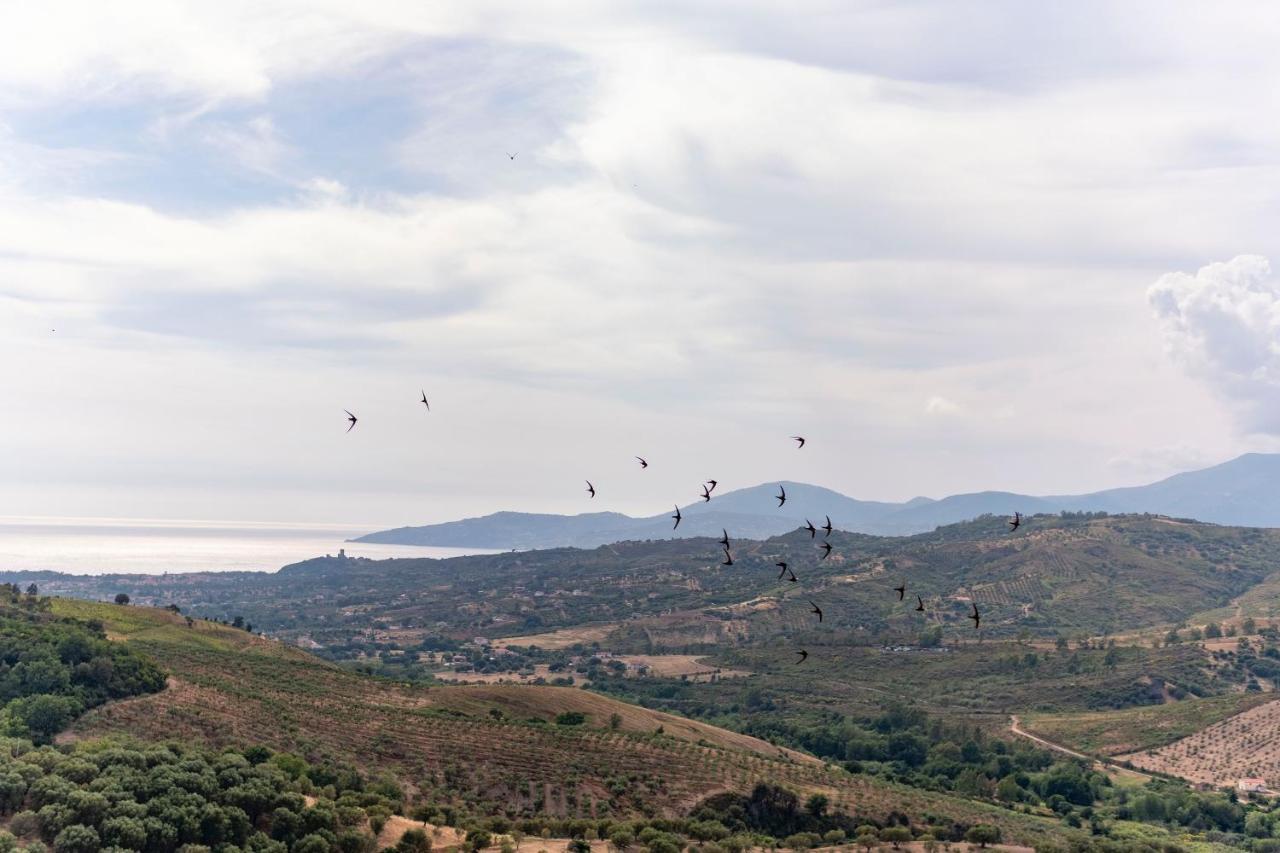 Corte Degli Ulivi Terradura Exteriér fotografie